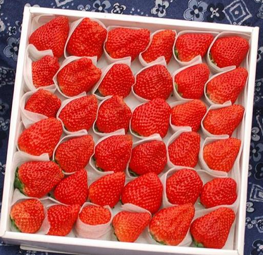 新鮮(xiān)水果用(yong)EPE珍珠棉(mian)包裝的(de)好處有(you)哪些？